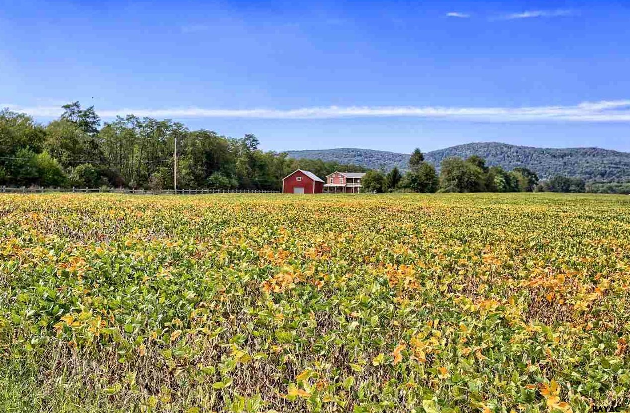 53 Water Street_1543