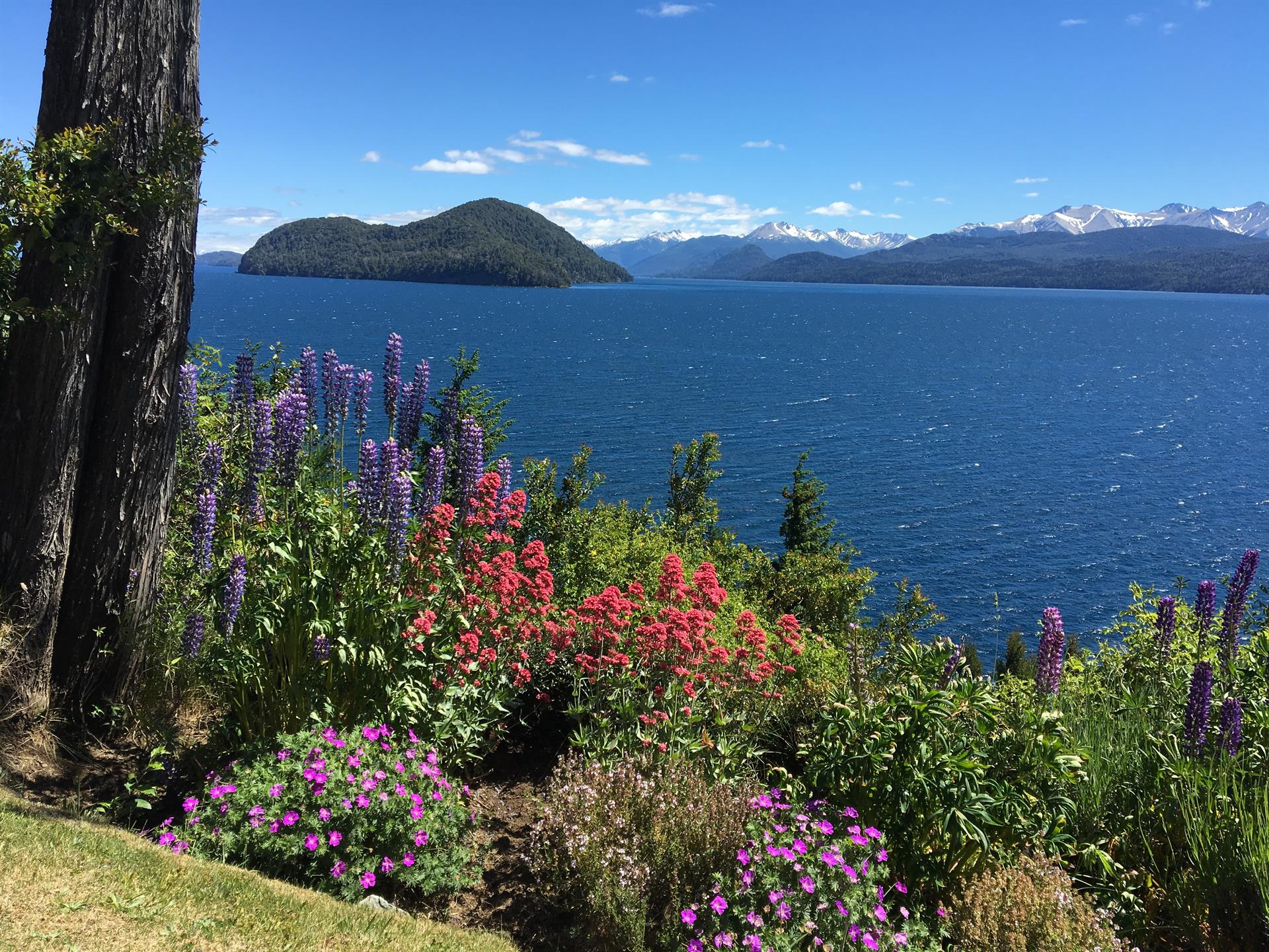 Lakefront Swiss Chalet With Stunning Views Of Nahuel Huapi National