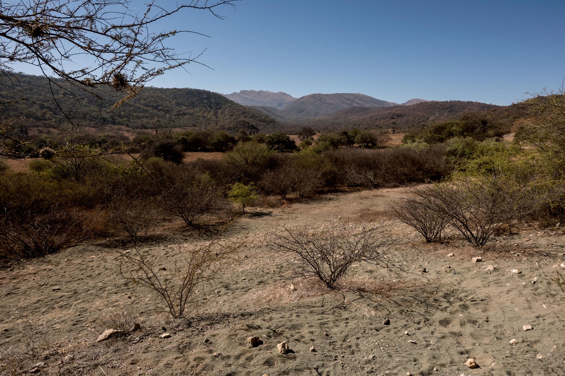SALTA -35.000 HA - DC_979