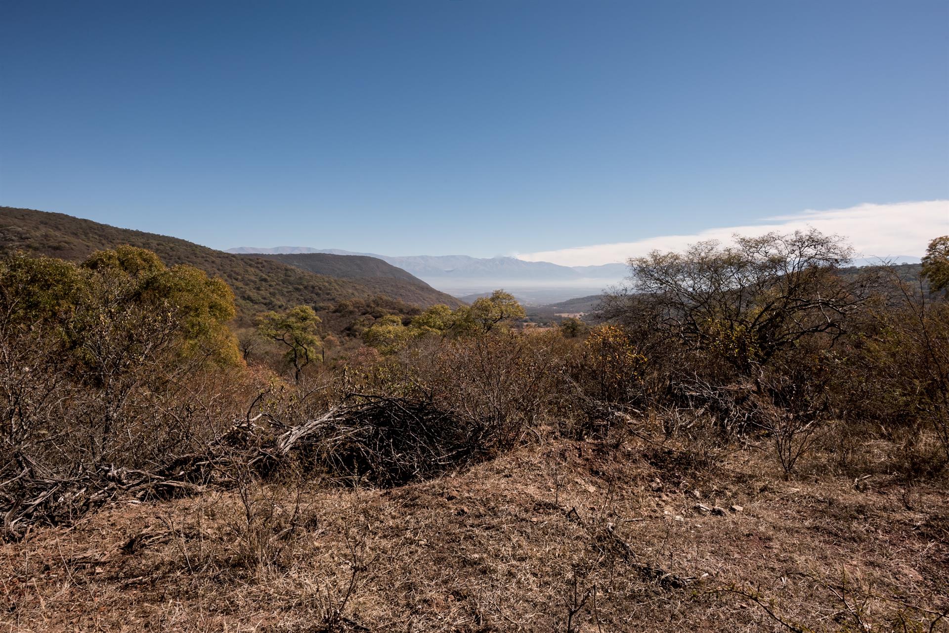 SALTA -35.000 HA - DC_984