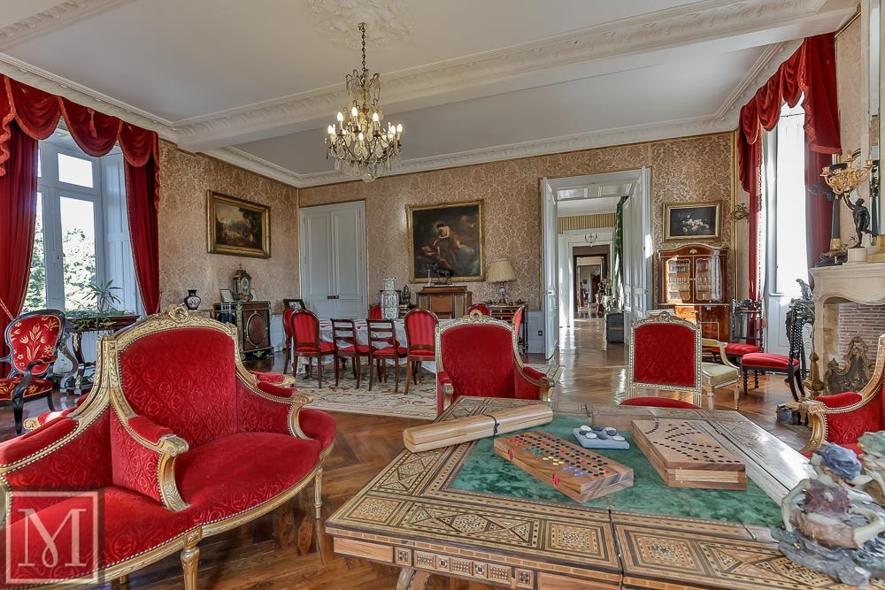 STUNNING CHATEAU FOR SALE IN THE CHARENTEMARTIME 6 0 KM FROM LA