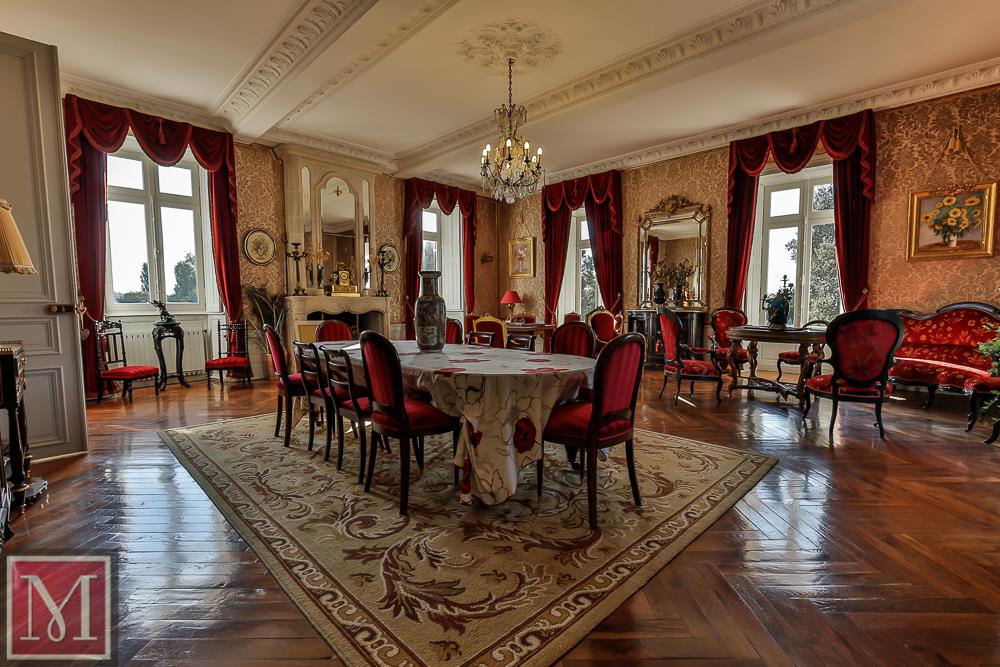 STUNNING CHATEAU FOR SALE IN THE CHARENTEMARTIME 6 0 KM FROM LA