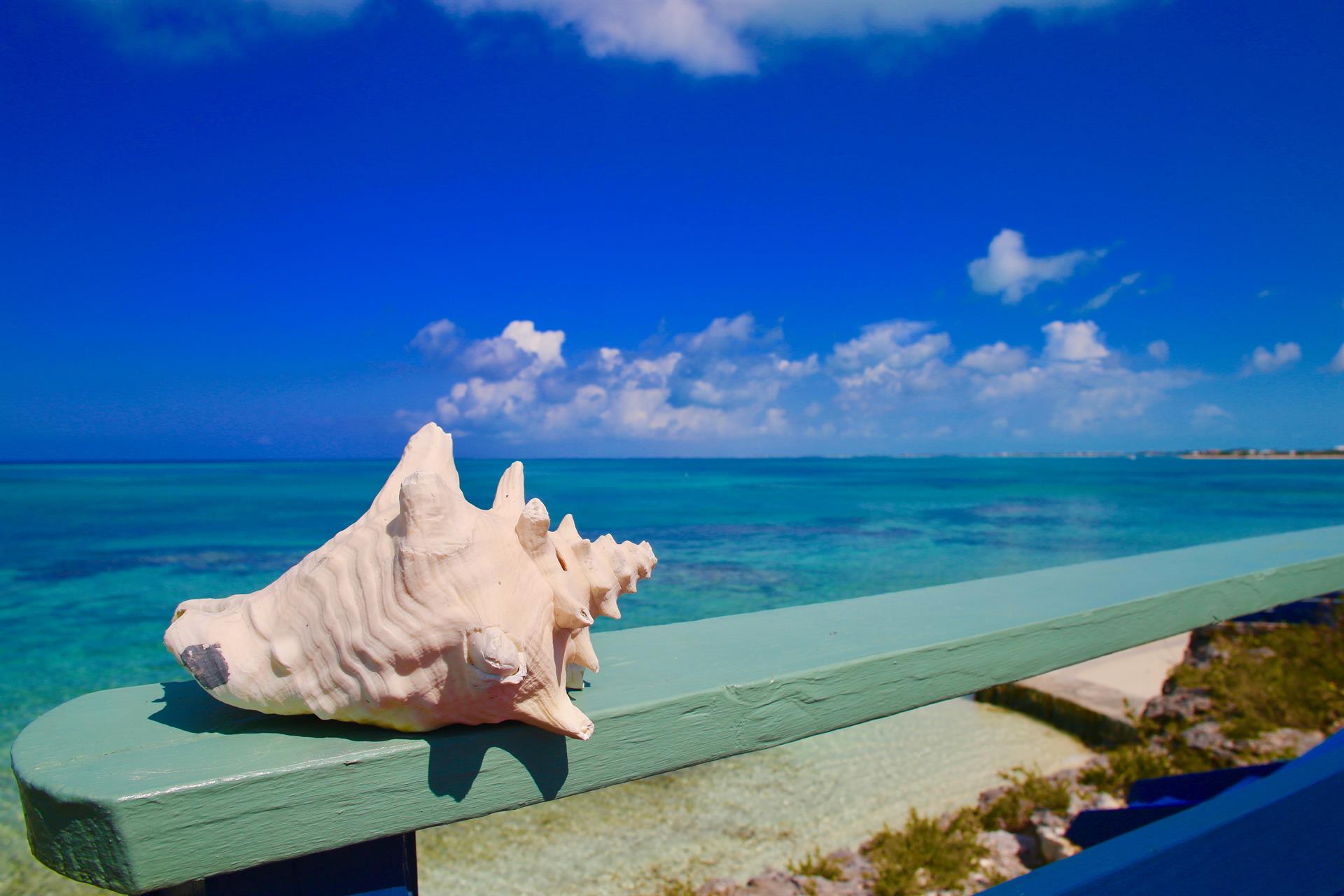 Stunning Beachfront Estate Property a luxury home for sale in Blue
