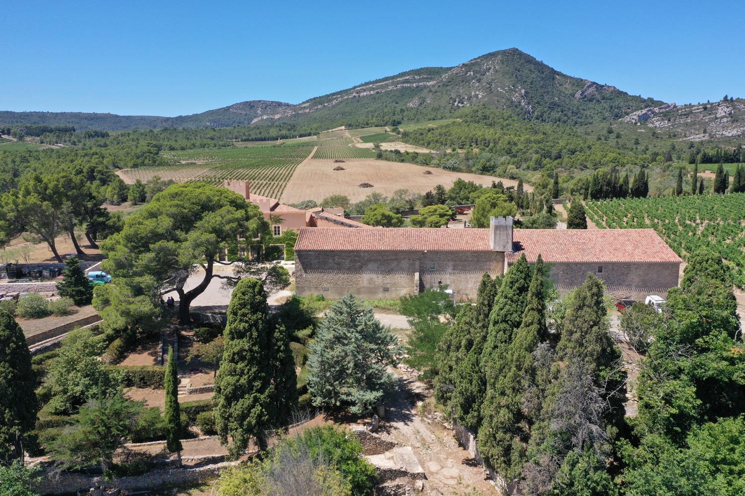 PROPERTY WITH VINEYARD a luxury Vineyard for sale in Lezignan
