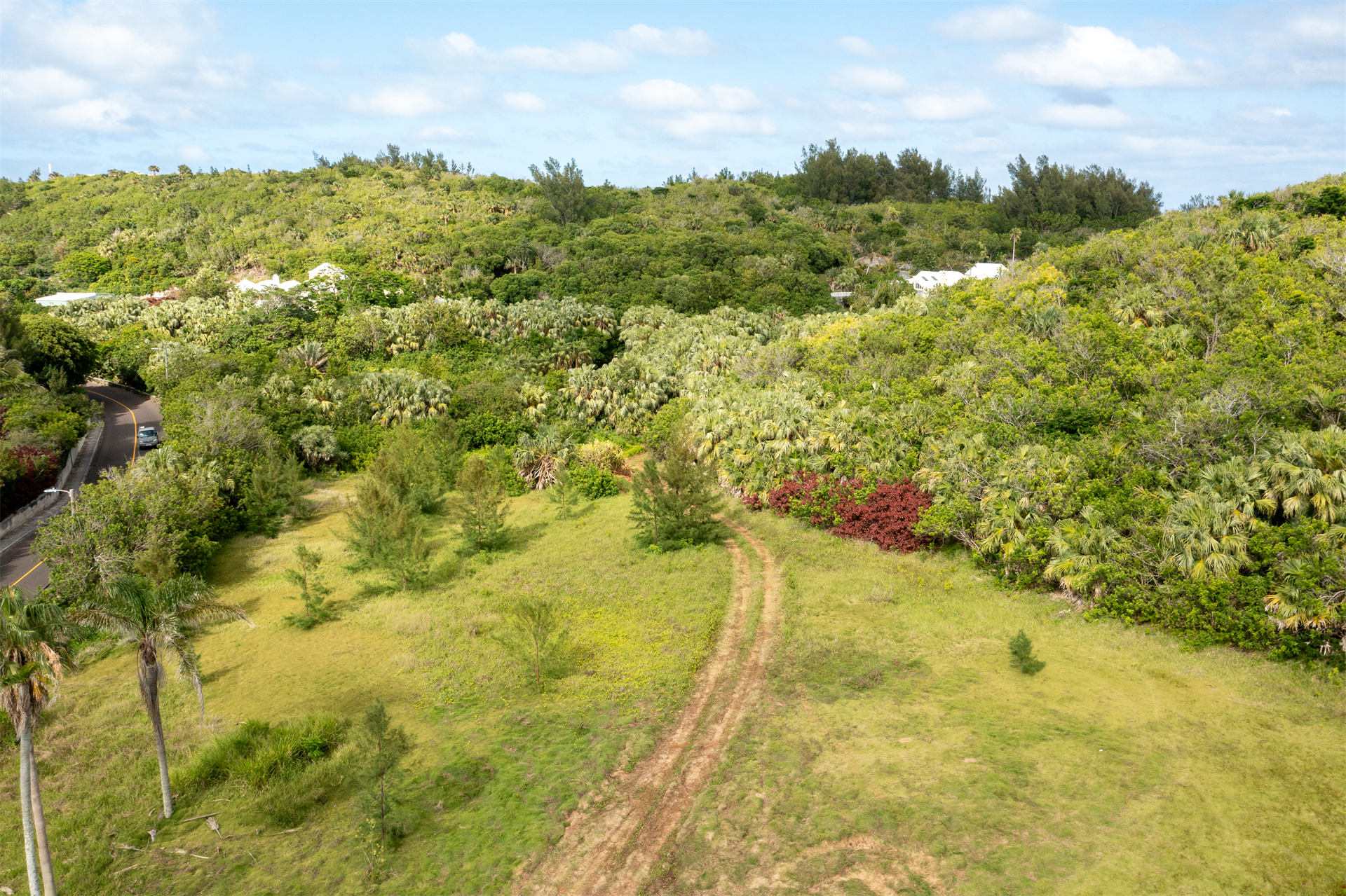 Land/Vacant Land's Image 5