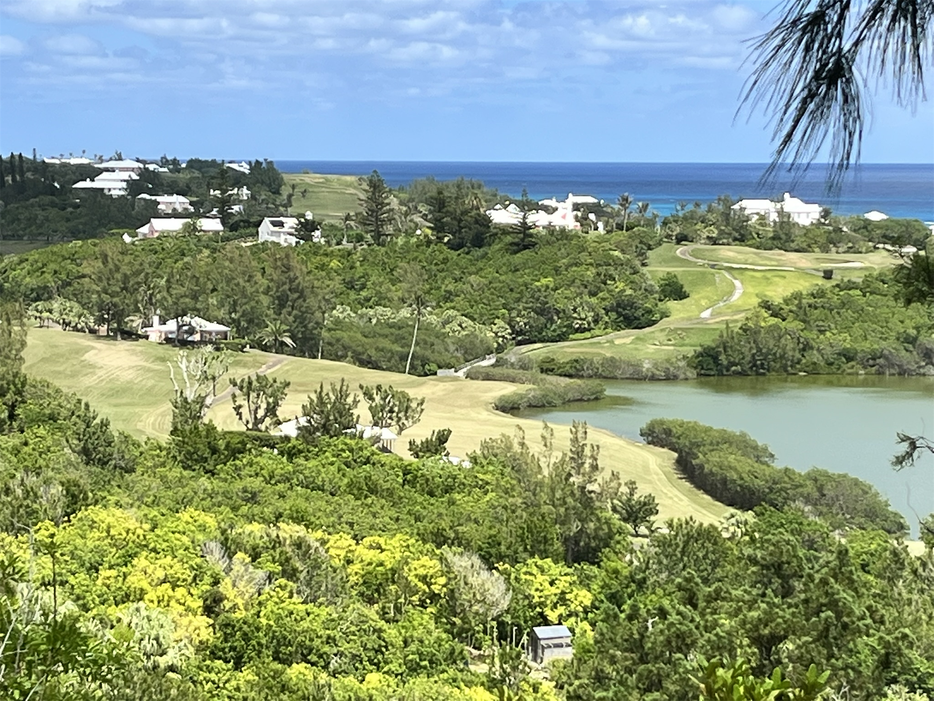 Land/Vacant Land's Image 8