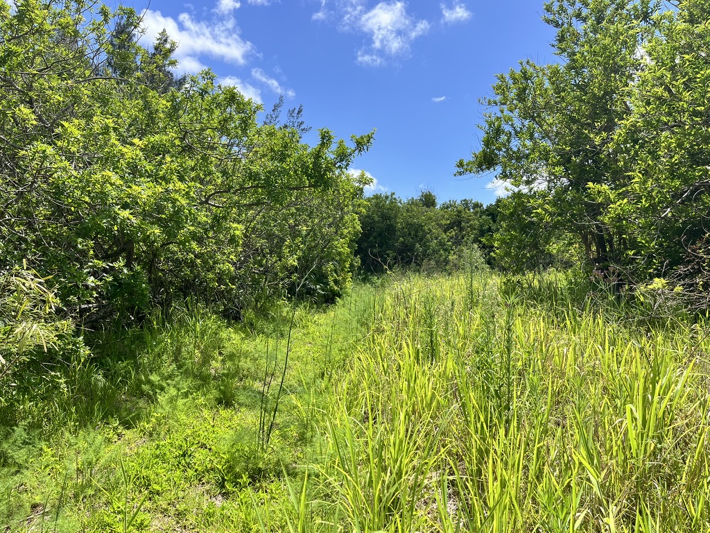 Land/Vacant Land's Image 6