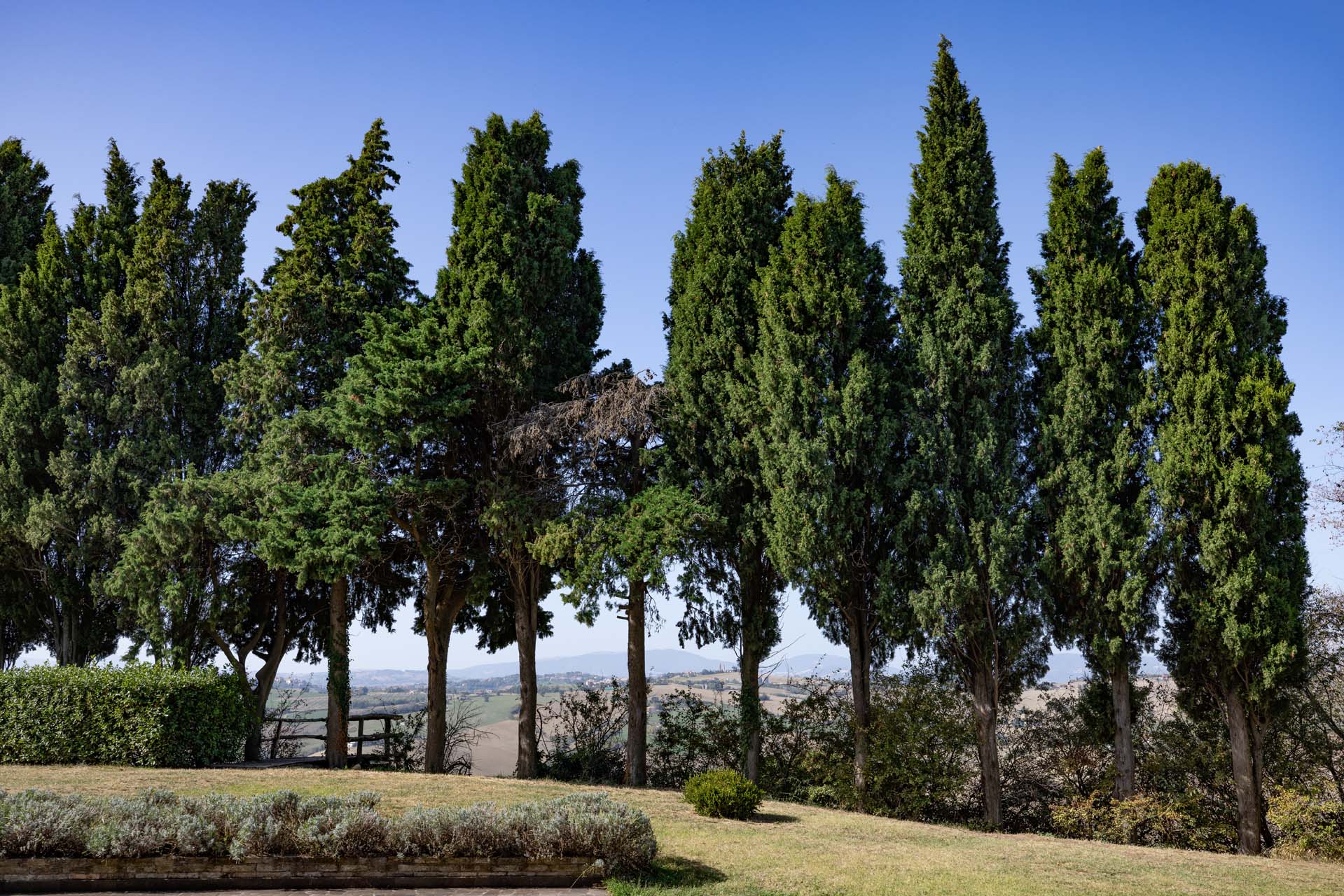 Corinaldo - LUXURY MODERN VILLA FOR SALE IN MARCHE, 15