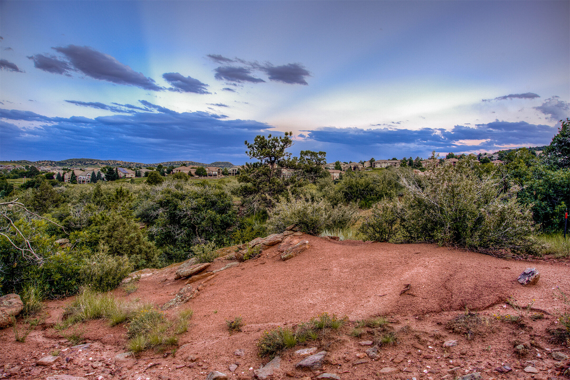 16959 Long Winding Road_415