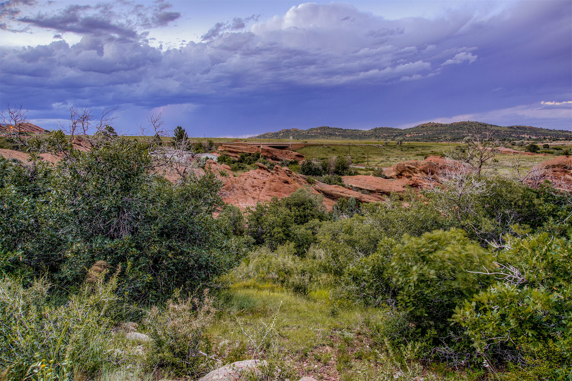 16959 Long Winding Road_407