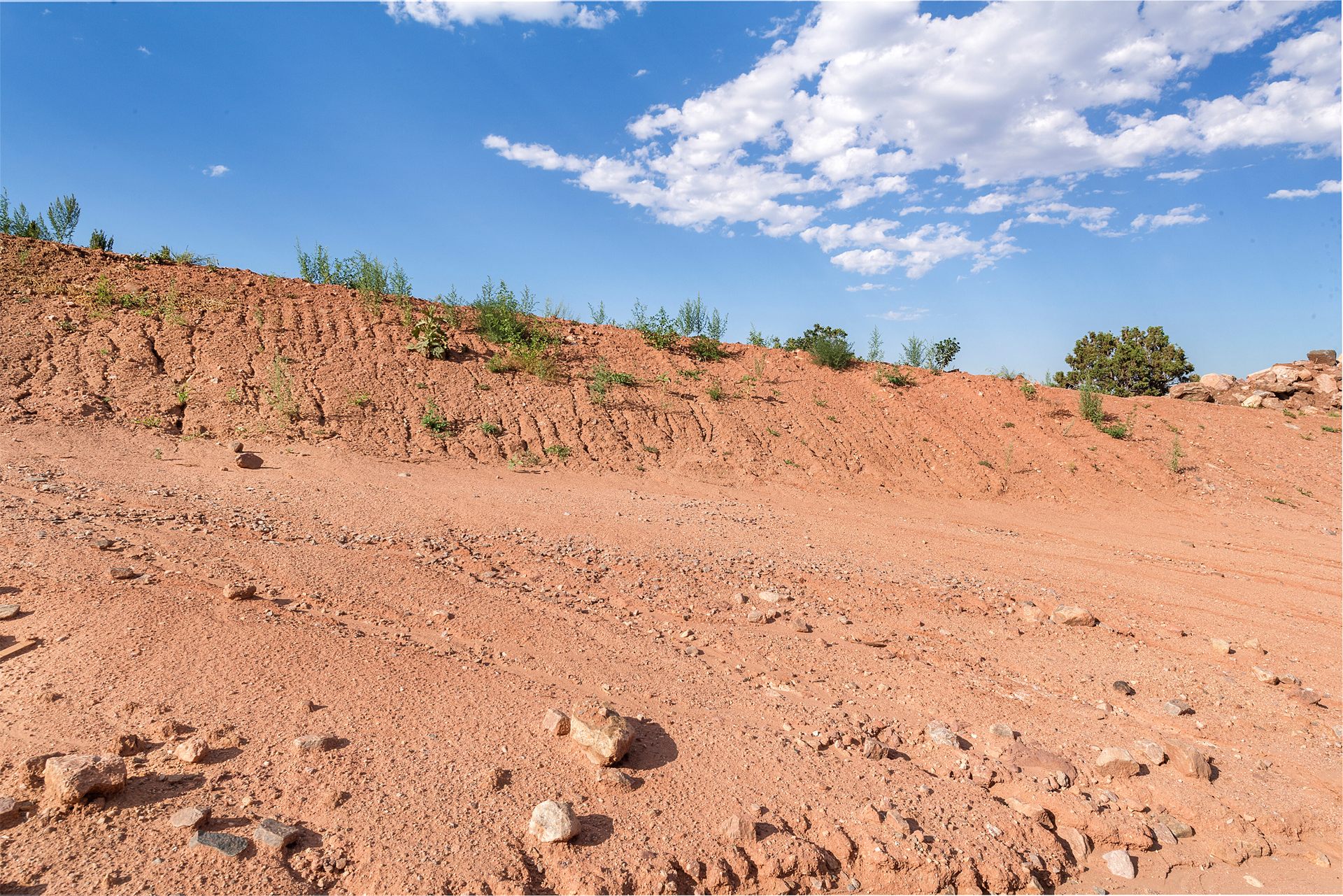 16969 Long Winding Road_437