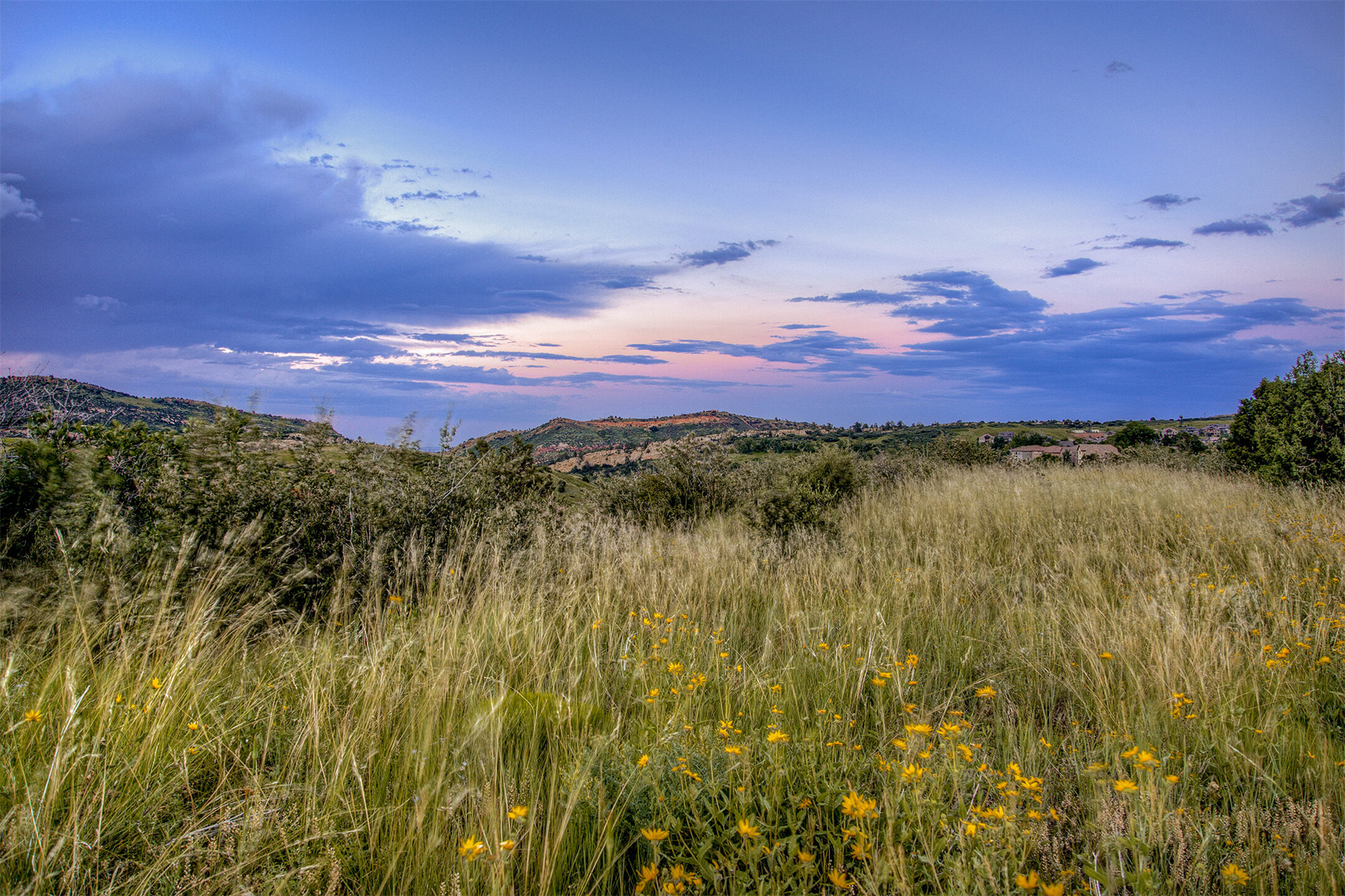 16969 Long Winding Road_431